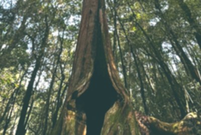 鎮西堡步道